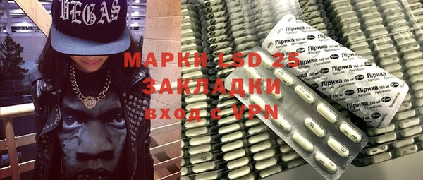 ПСИЛОЦИБИНОВЫЕ ГРИБЫ Абаза