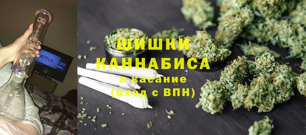 ПСИЛОЦИБИНОВЫЕ ГРИБЫ Абаза
