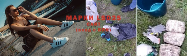 ПСИЛОЦИБИНОВЫЕ ГРИБЫ Абаза